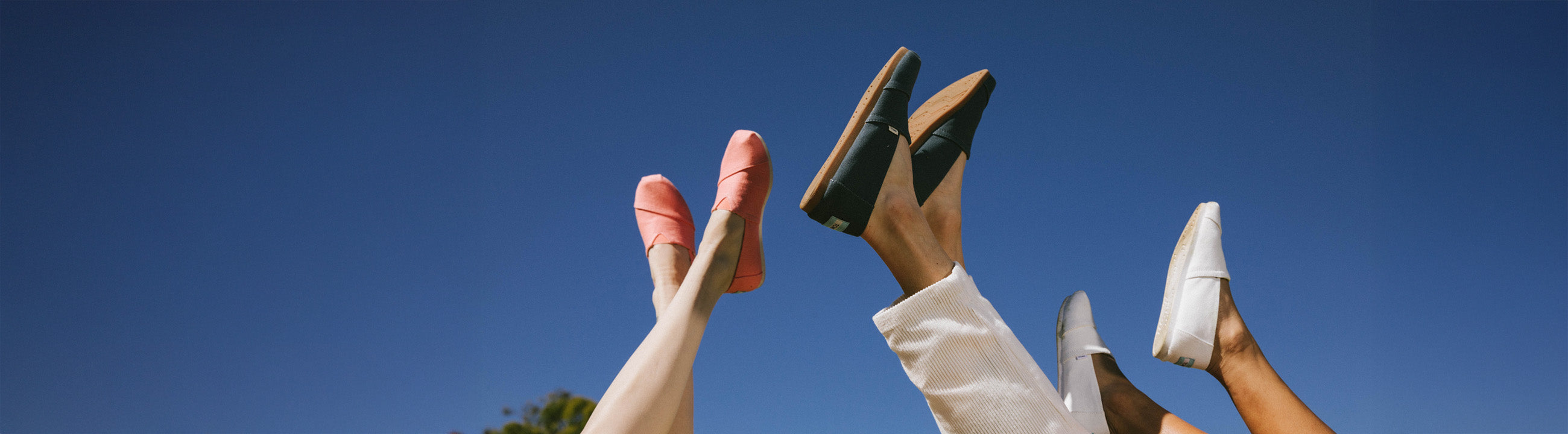 Toms