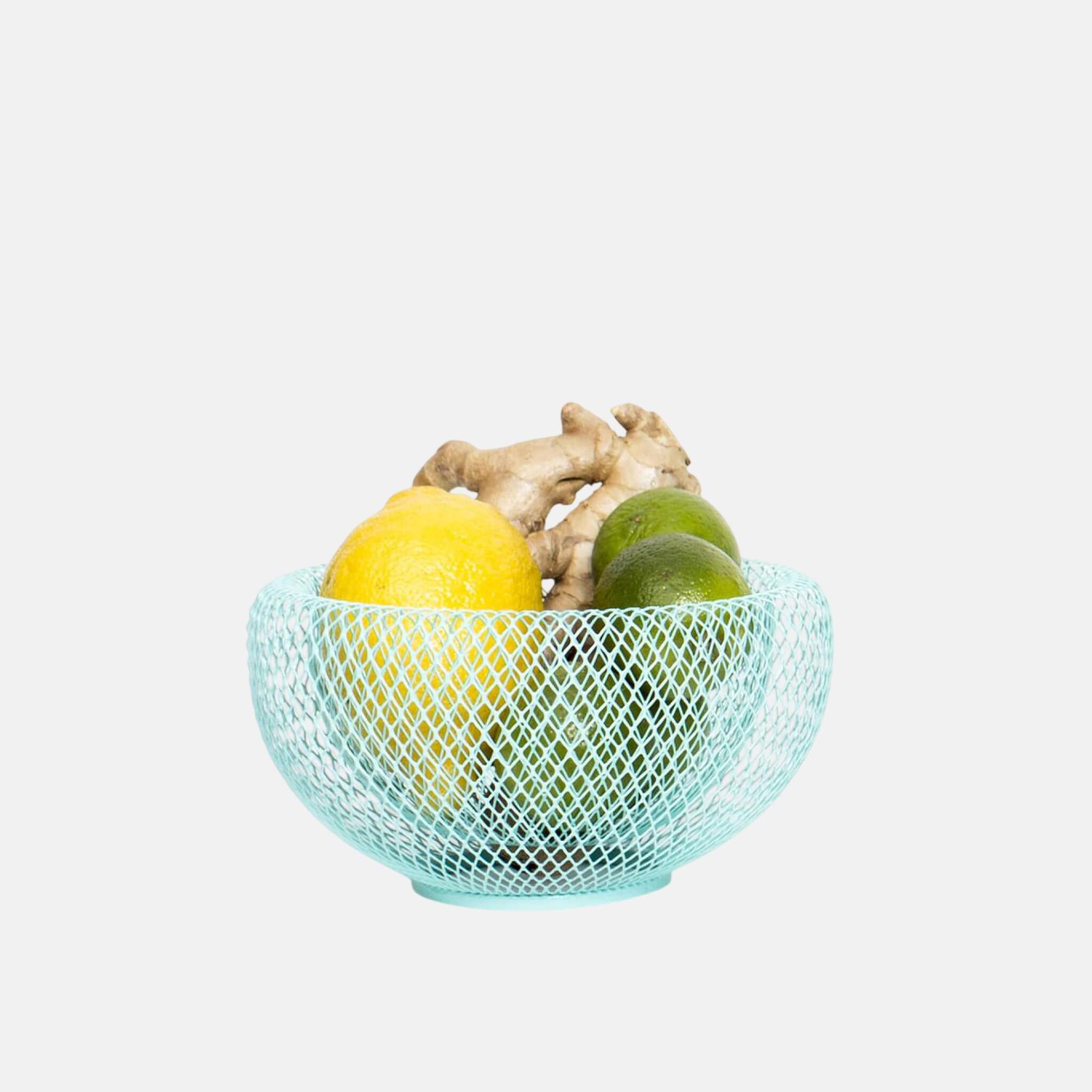 Fructieră turcoaz Fundamental Berlin Nest