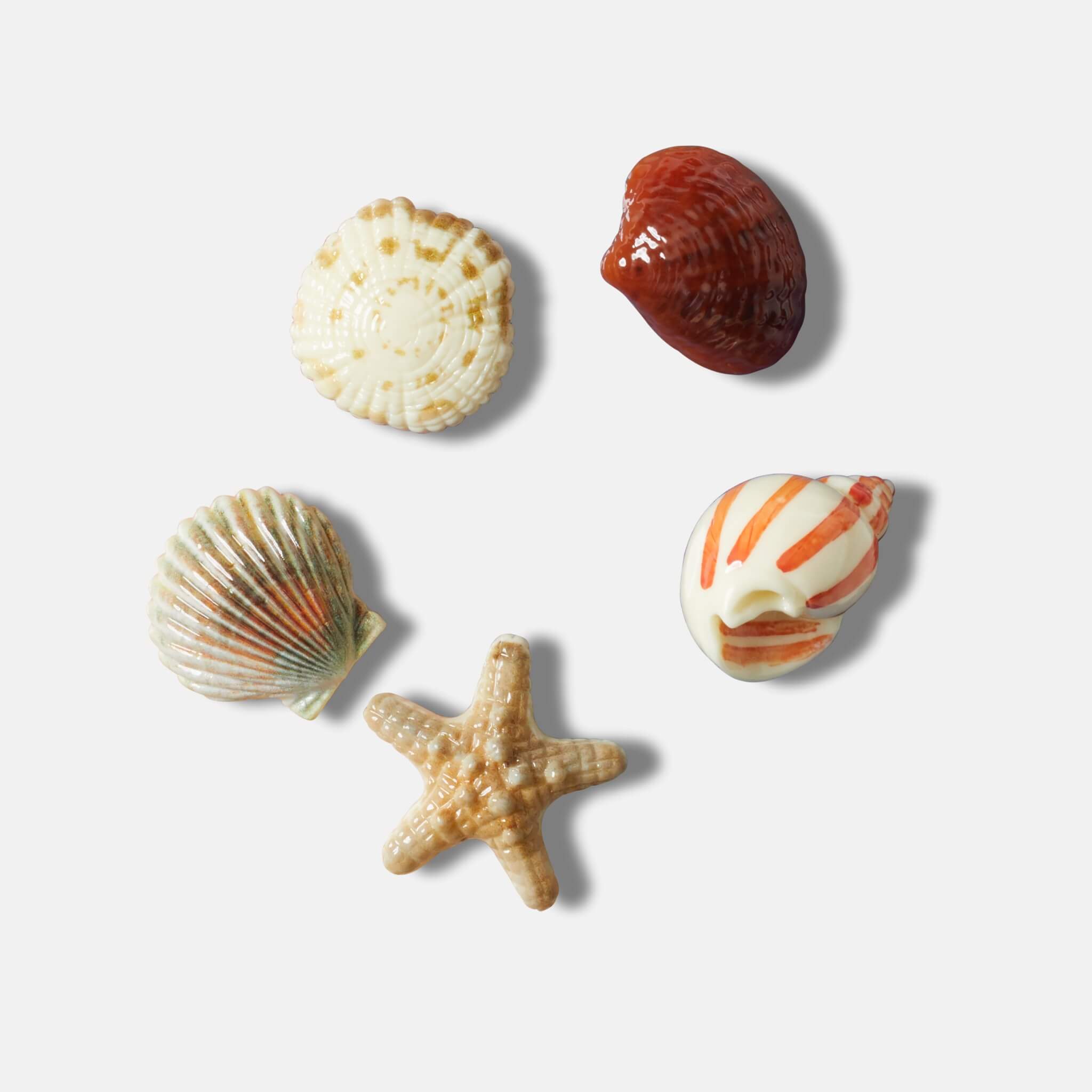 Accesoriu Jibbitz – She Sells Seashells 5 ks